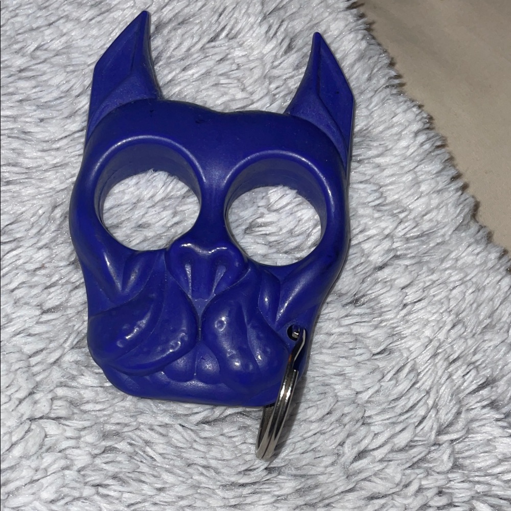 Stylish Blue Dog Key Holder